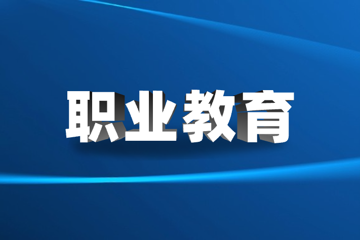 谋划职业教育数字化发展策略 推进职业教育数字化转型升级